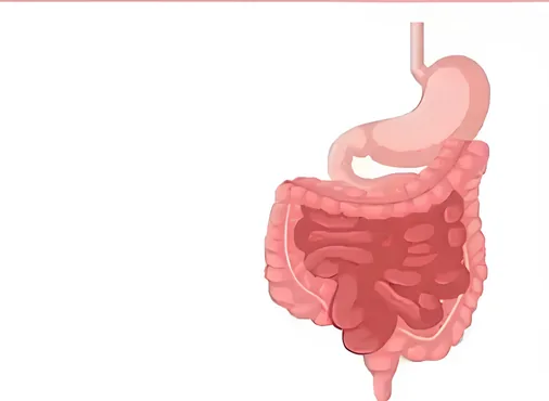 Bowel Obstruction consultation at Niraaya Hospital
